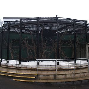 old gorilla house now the lemur house