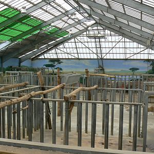 African elephants exhibit - Elephants house