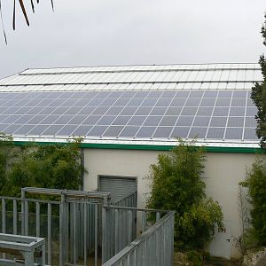 African elephants exhibit - Elephants house