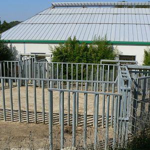 African elephants exhibit - Outdoor enclosures