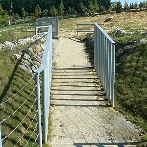 African elephants exhibit - Outdoor enclosures