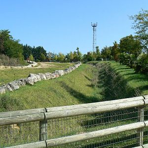 African elephants exhibit - Second enclosure (with sand)