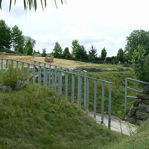 African elephants exhibit - Second enclosure (with sand)