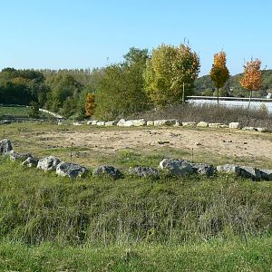 African elephants exhibit - Second enclosure (with sand)