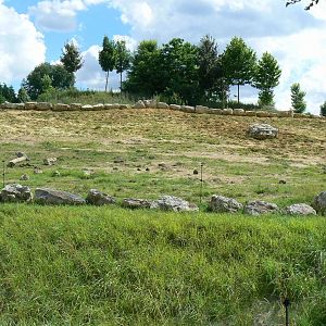 African elephants exhibit - Second enclosure (with sand)