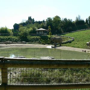 African elephants exhibit - first enclosure (with grass)