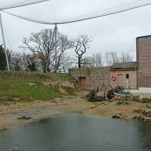 Windows on the Wild Aviary Interior at Twycross 27/02/11