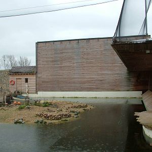 Windows on the Wild Aviary Interior at Twycross 27/02/11