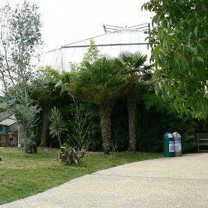 African elephants exhibit - Elephants house