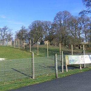 Progress with cheetah enclosure at Marwell Wildlife, 27 February 2011