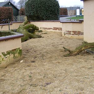Old meerkat enclosure at Marwell Wildlife, 27 February 2011