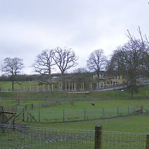 View across to cheetah enclosure development at Marwell Wildlife, 27 Februa
