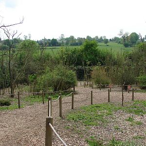 Lemurs walk-through exhibit