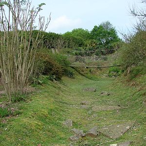 Lemurs walk-through exhibit