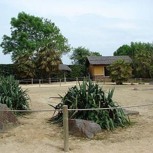 Lemurs walk-through exhibit