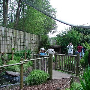 Walk-through tropical aviary