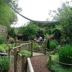 Walk-through tropical aviary
