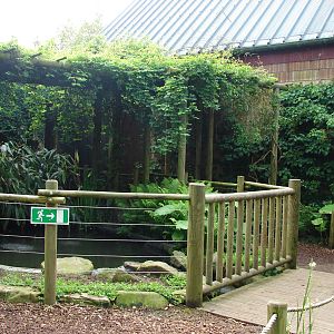 Walk-through tropical aviary