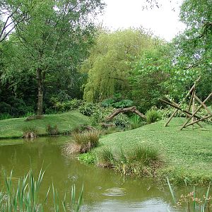 Black and white ruffed lemurs exhibit