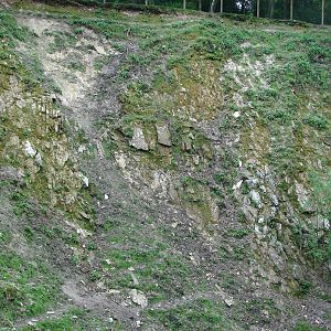Barbary macaques and barbary sheeps exhibit
