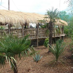 South american aviary