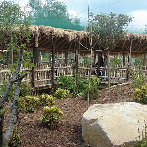 South american aviary