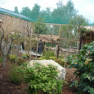 South american aviary