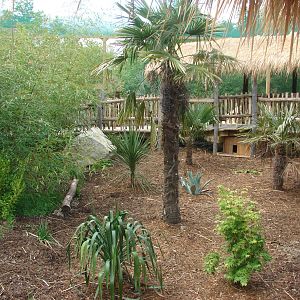 South american aviary