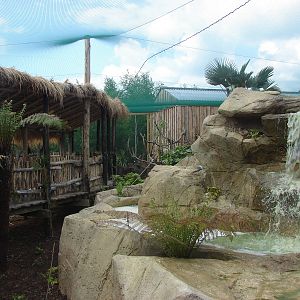 South american aviary