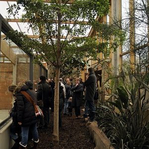 Giraffehouse at Opelzoo