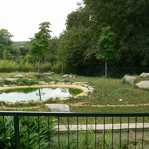 Spotted hyenas exhibit