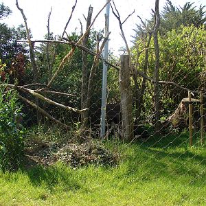 South american aviary