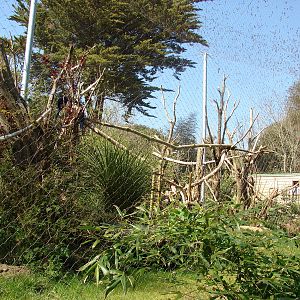 South american aviary