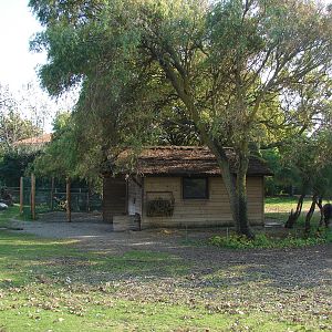 South american exhibit