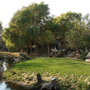 South american exhibit