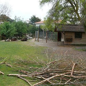 South american exhibit