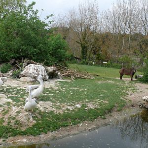 South american exhibit