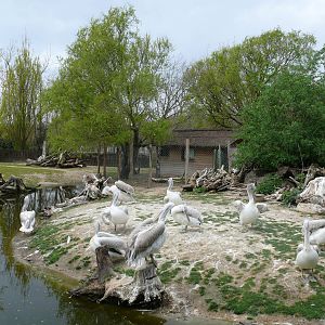 South american exhibit