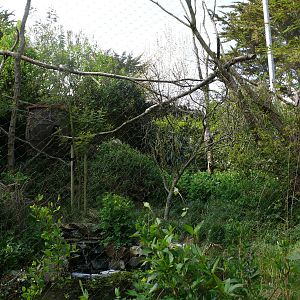 South american aviary