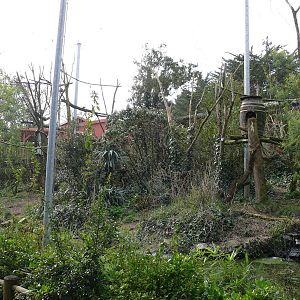 South american aviary