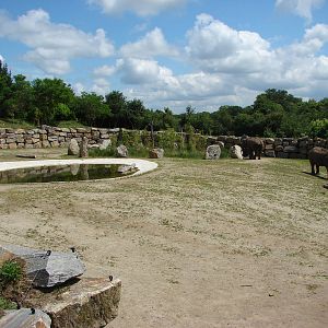 Second asian elephants exhibit