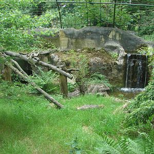 Sri-Lankan leopards exhibit