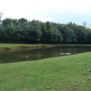 Hippopotamus and sitatungas exhibit