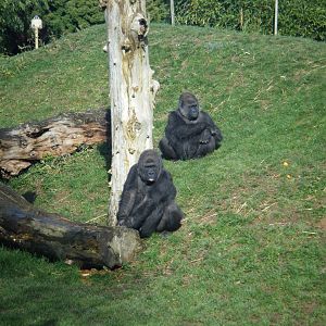 Kishka and daughter Sakina