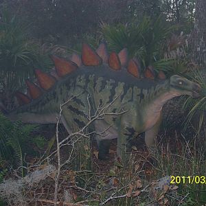 Stegosaurus