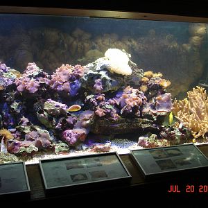Aquarium