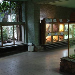 Inside Reptile House