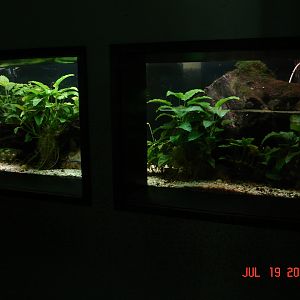 Inside Aquarium