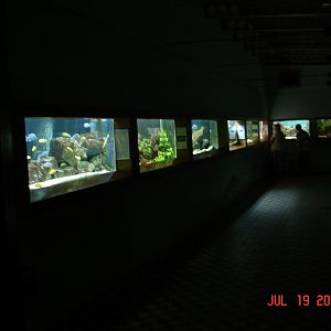 Inside Aquarium