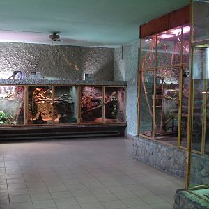 Inside Reptile House